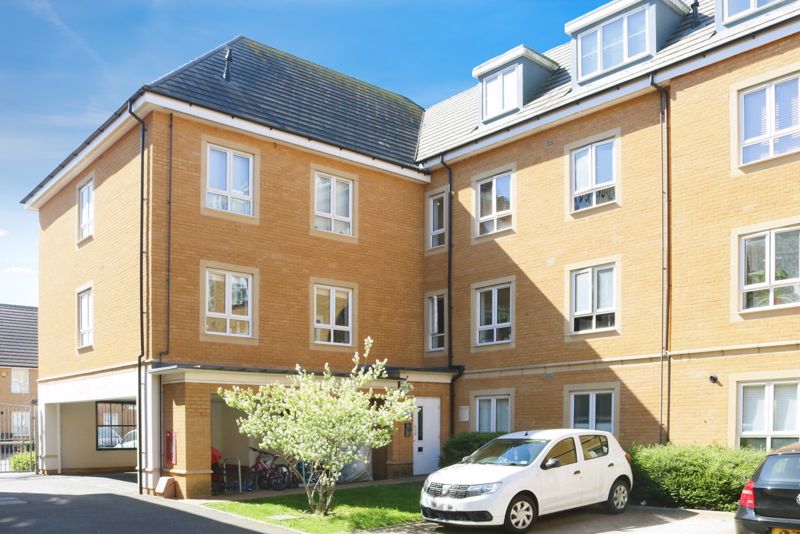 Main Image